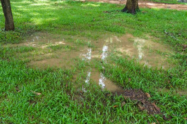 Storm Water Drainage Service in Wilkes Barre