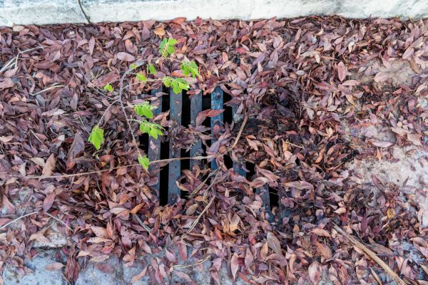 Yard Drain Unclogging in Wilkes Barre