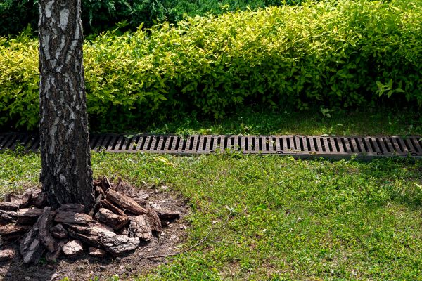 Cost of Yard Water Redirection in Wilkes Barre