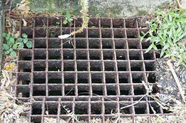 Yard Drain Cleaning in Wilkes Barre