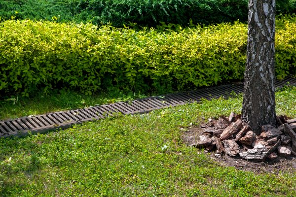 Residential Landscape Drainage in Wilkes Barre