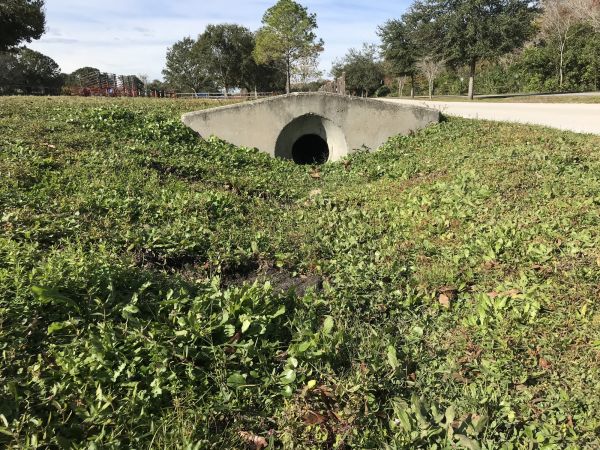 Cost of Swale Drainage Service in Wilkes Barre
